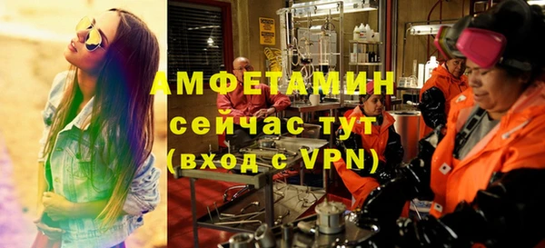 твердый Пересвет