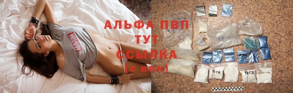 твердый Пересвет