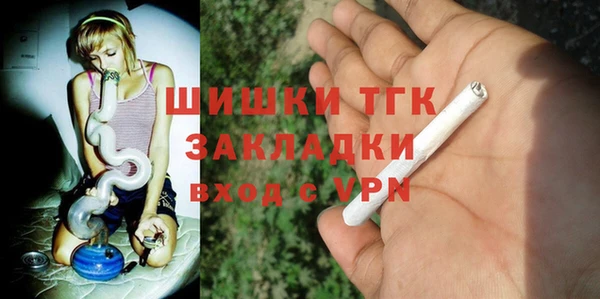 твердый Пересвет