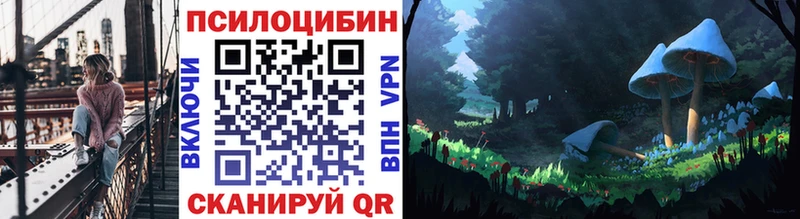 Галлюциногенные грибы Psilocybe Переславль-Залесский