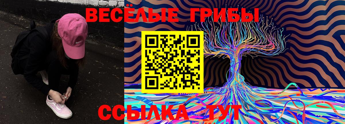 Псилоцибиновые грибы прущие грибы  Вход с VPN  закладки  Псилоцибиновые грибы ЛСД  Переславль-Залесский 