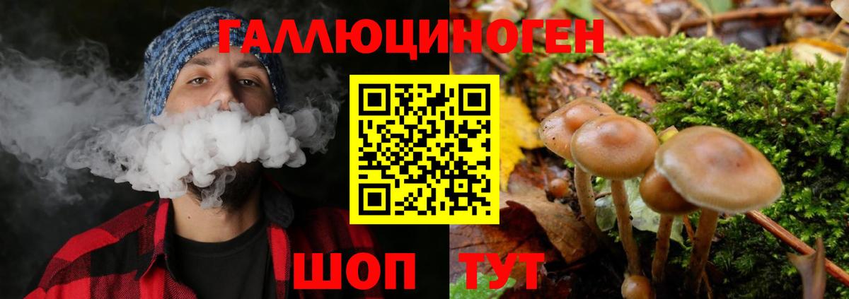 Псилоцибиновые грибы Magic Shrooms Переславль-Залесский